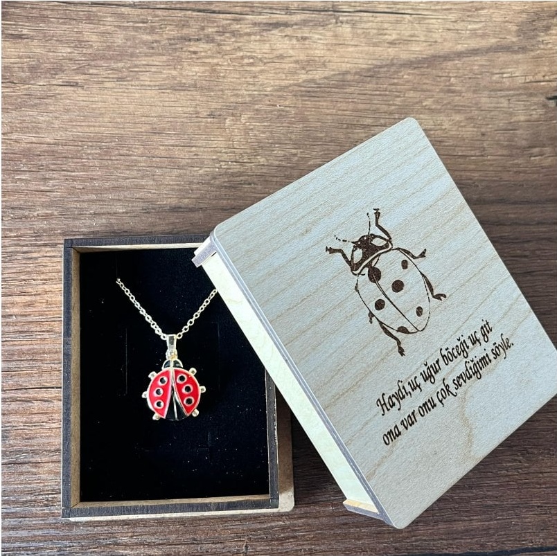 14 Ayar Altın Kaplama Özel Kutulu Açılan Uğurböceği Kolye